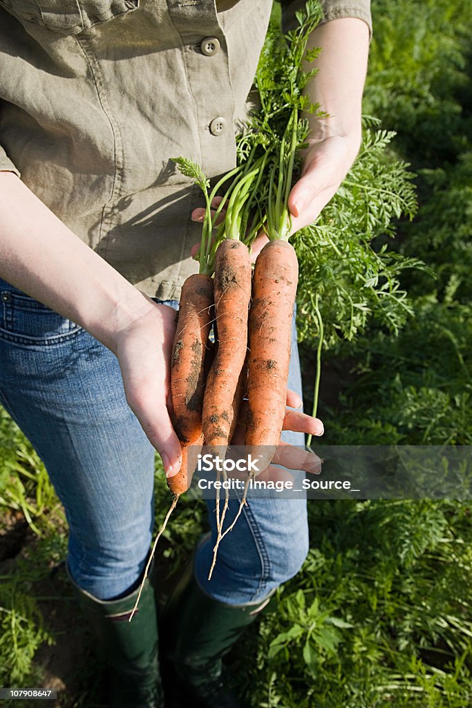 Junge Frau ernten Karotten im Feld - Lizenzfrei 25-29 Jahre Stock-Foto