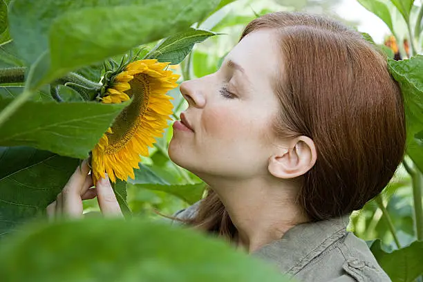 Photo of Young woman smelling sunflower