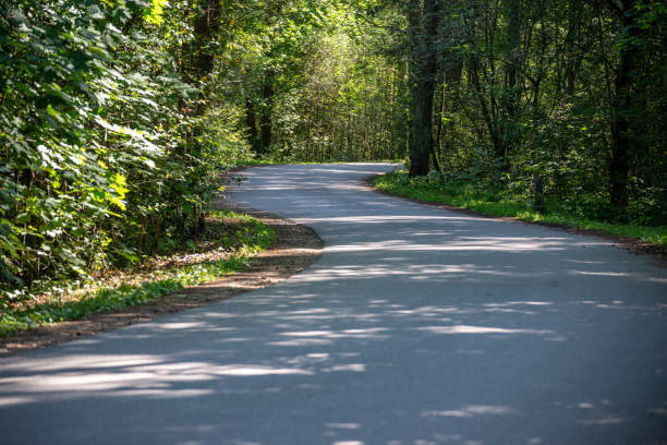 istock asphalt wavy road in forest in summer 1079093498