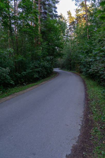 istock asphalt wavy road in forest in summer 1079093514
