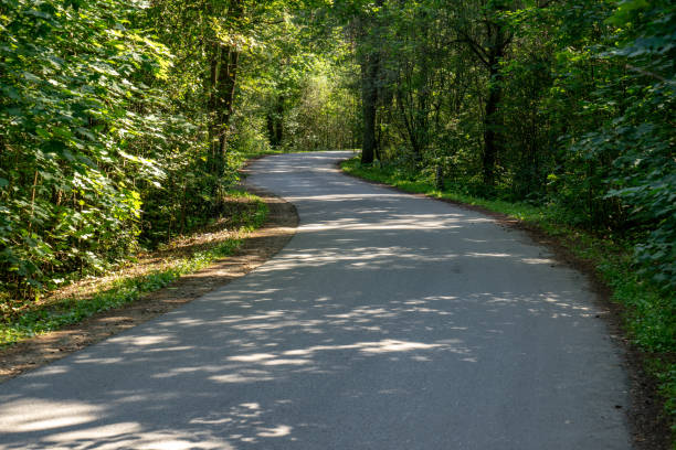 istock asphalt wavy road in forest in summer 1079093532