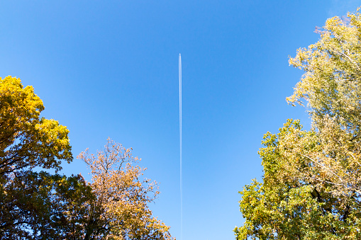 the plane in the blue sky between yellow autumn trees (flying away from the winter)