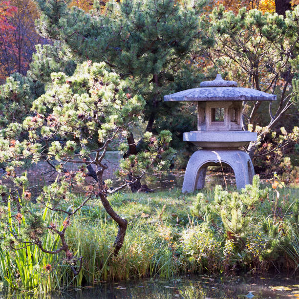 istock Stone lantern surrounded by bonsai trees in a japanese garden 1079094330