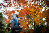 父と娘の肩車で秋の紅葉を見て