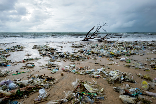 Basura en la playa, de contaminación ambiental en Bali, Indonesia. photo
