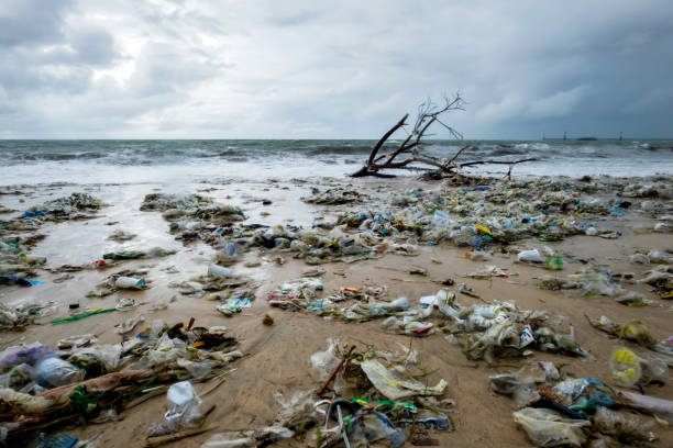 Garbage on beach, environmental pollution in Bali Indonesia. stock photo