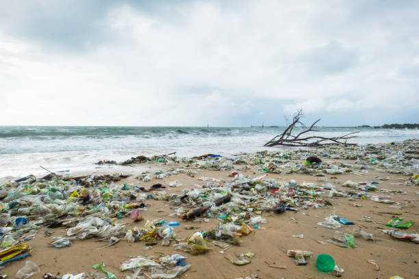 istock Garbage on beach, environmental pollution in Bali Indonesia. 1079098180