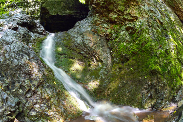 istock Small mountain waterfall on the rocks covered with moss in the forest 1079104232