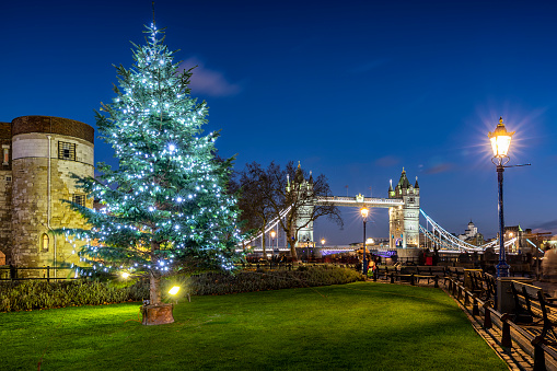 Illuminated Christmas tree in front of the iconic Tower Bridge in London during winter time