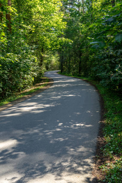istock asphalt wavy road in forest in summer 1079112946