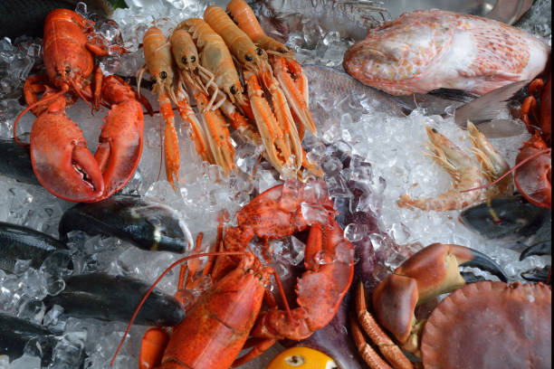 istock Seafood from the Adriatic Sea - Italy. 1079116616