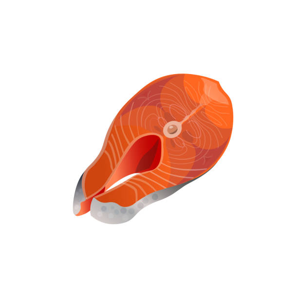 연어 생선 스테이크 - orange portion vector textured stock illustrations