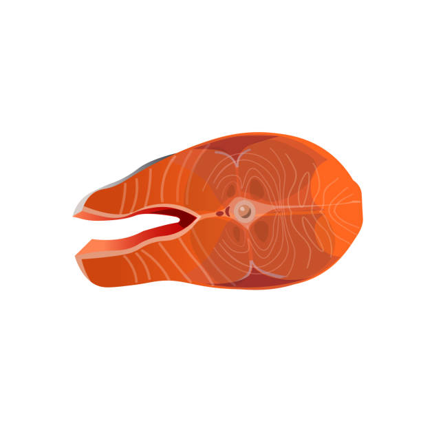 연어 생선 스테이크 - orange portion vector textured stock illustrations