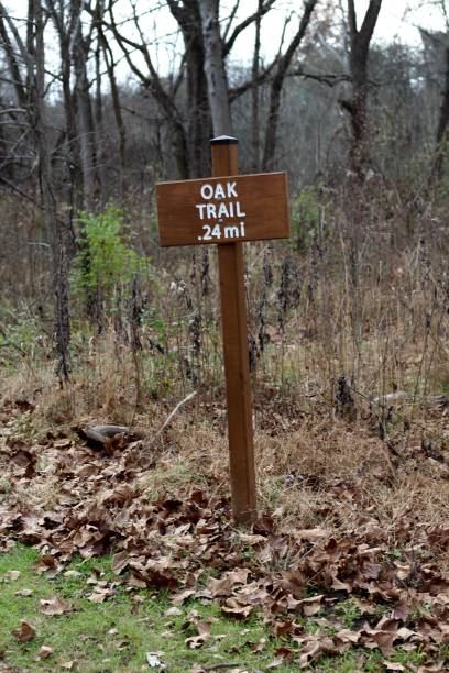 istock Old Wood Trail Sign 1079122928