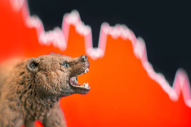 istock Price crash and bear market 1079127060