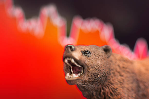 istock Price crash and bear market 1079127098