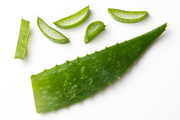 istock Whole and sliced aloe vera leaf on a white background 1079137166
