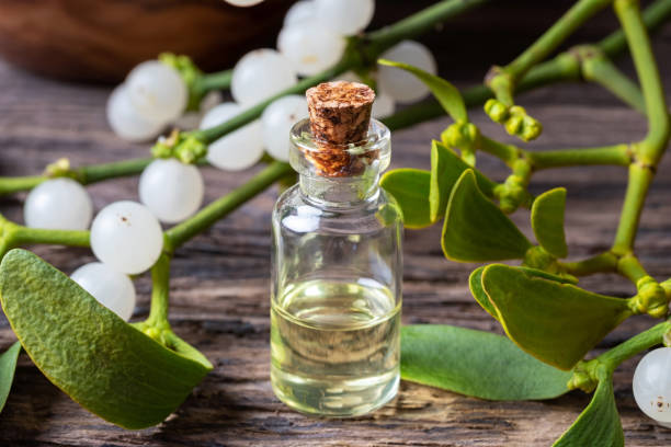 a bottle of mistletoe essential oil with fresh mistletoe - european mistletoe imagens e fotografias de stock