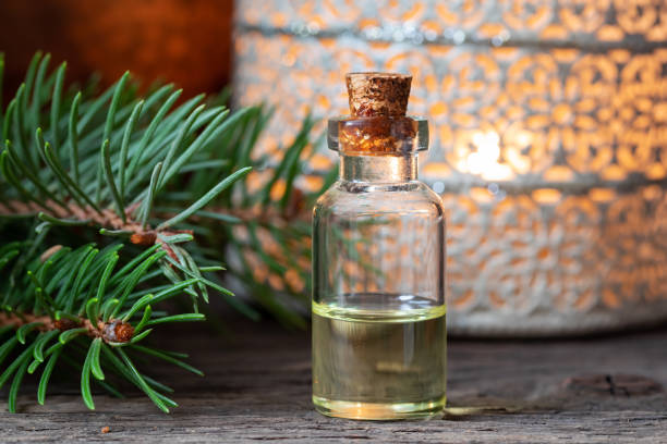 istock A bottle of spruce essential oil with spruce branches 1079138122