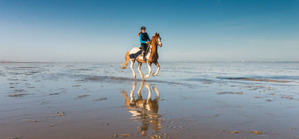istock Young rider on the beach 1079138678
