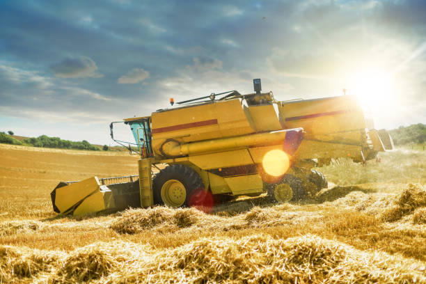 istock Combine harvester in action 1079149840