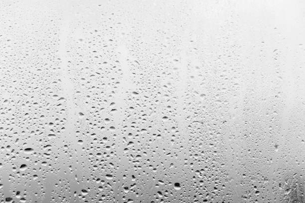 Raindrops from a light rian shower on a black background.