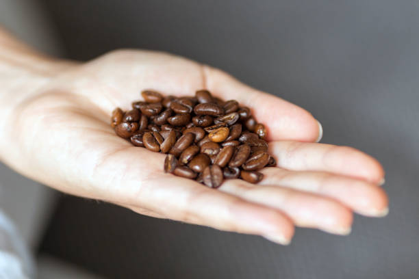istock Geroosterde koffiebonen in hand 1079160168