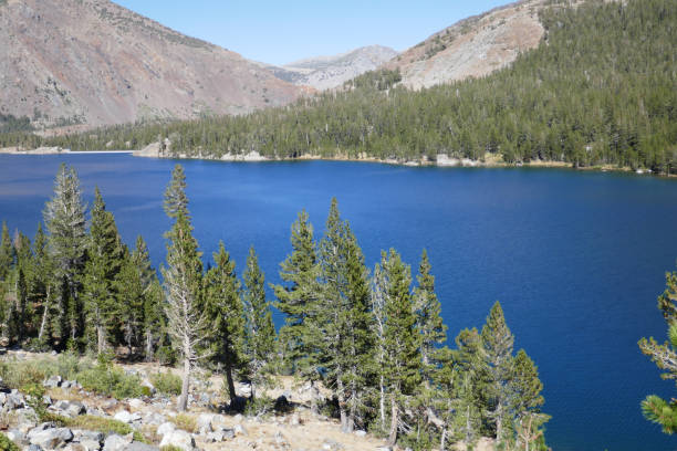 istock Inyo National Forest, California, USA 1079162626