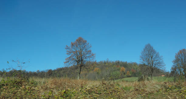 istock Turin Hills in Turin 1079164448