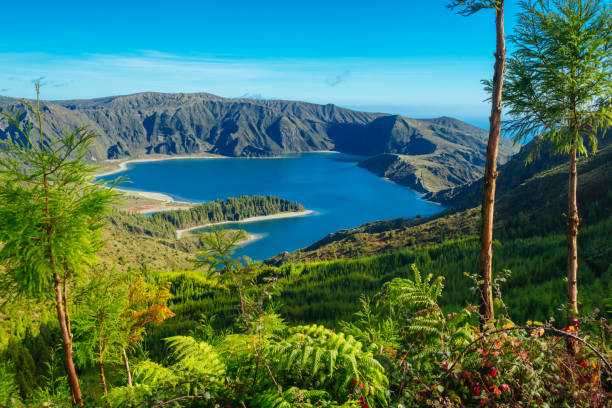 Lagoa do Fogo, Sao Miguel Island, Azores, Portugal A view of Lagoa do Fogo (Fire Lake) on Sao Miguel Island in the Azores of Portugal. Image was taken from about half way up the mountain and features native trees, ferns and other vegetation in the foreground.  Lagoa do Fogo is located in the bottom of a volcanic crater. sao miguel azores stock pictures, royalty-free photos & images