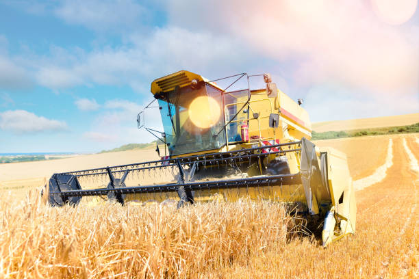 istock Combine harvester in action 1079168350