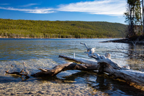 góry sawtooth - idaho beautiful western usa usa zdjęcia i obrazy z banku zdjęć