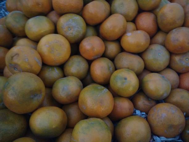 istock Citrus deliciosa or Kinnow fruit 1079176944