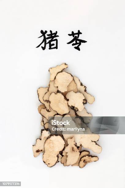 Mushroom Polyporus Sclerotium Stock Photo - Download Image Now - Chinese Culture, Herb, Herbal Medicine