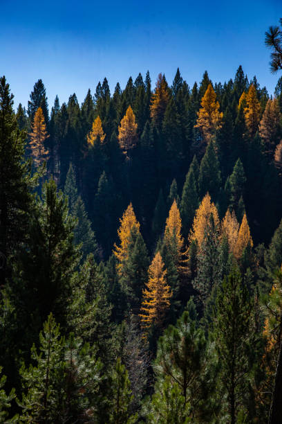istock Beautiful Idaho Mountain Scenery 1079177662
