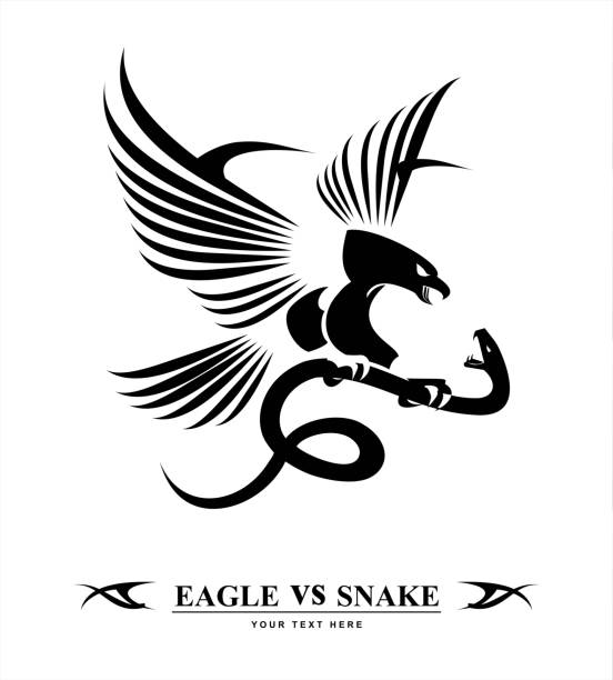 Eagle and viper, eagle vs snake, predator and prey vector art illustration