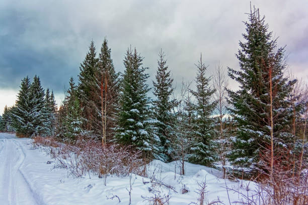 istock Beautiful winter landscape in the mountains. Sunset 1079179752