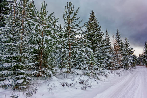 istock Beautiful winter landscape in the mountains. Sunset 1079179754