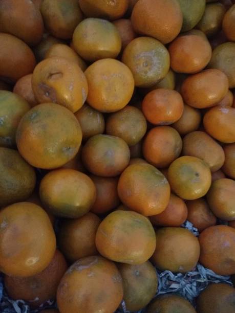 istock Citrus deliciosa or Kinnow fruit 1079180944
