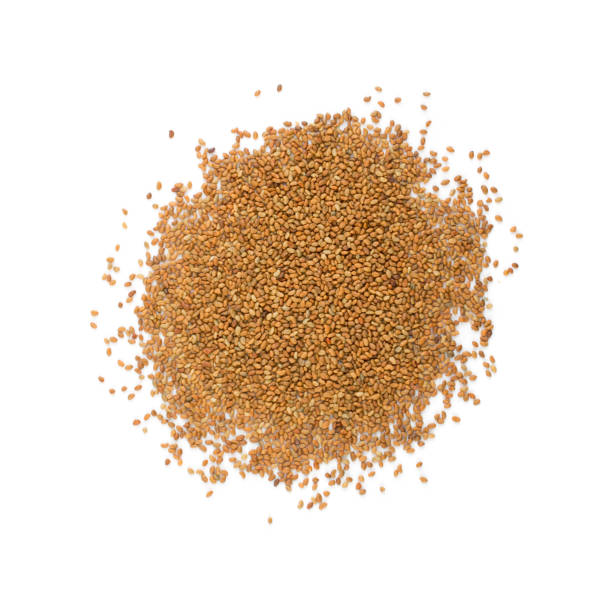 istock Alfalfa Seeds, Medicago or Lucerne Isolated on White Background 1079206910