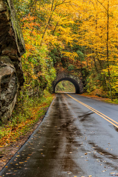 istock Smoky Mountain Tunnel in Autumn Vertical 1079210390