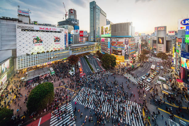 Shibuya Crossing Aerial View Tokyo Japan Shibuya Crossing in Downtown Tokyo from above, illuminated modern Shibuya Buildings with illuminated Billboards. Sunset -Twilight Light. Shibuya Crossing, Shibuya Ward, Tokyo, Japan, Asia. tokyo crowds on the famous shibuya crossing japan stock pictures, royalty-free photos & images