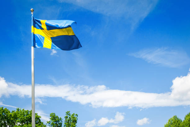 istock Swedish flag on the wind 1079240674