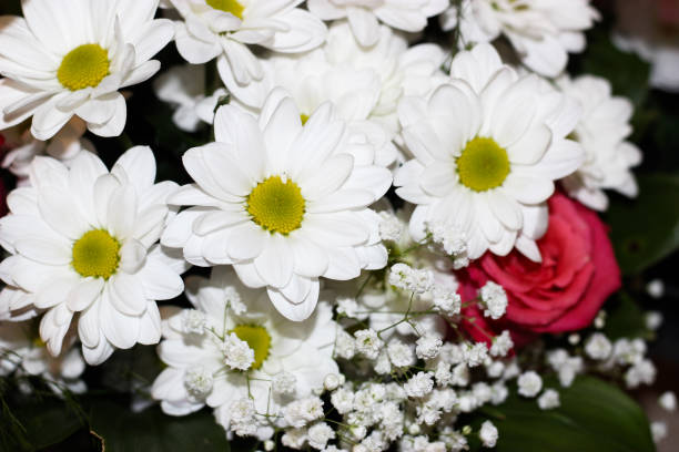 istock Bouquet of daisies and roses 1079241010