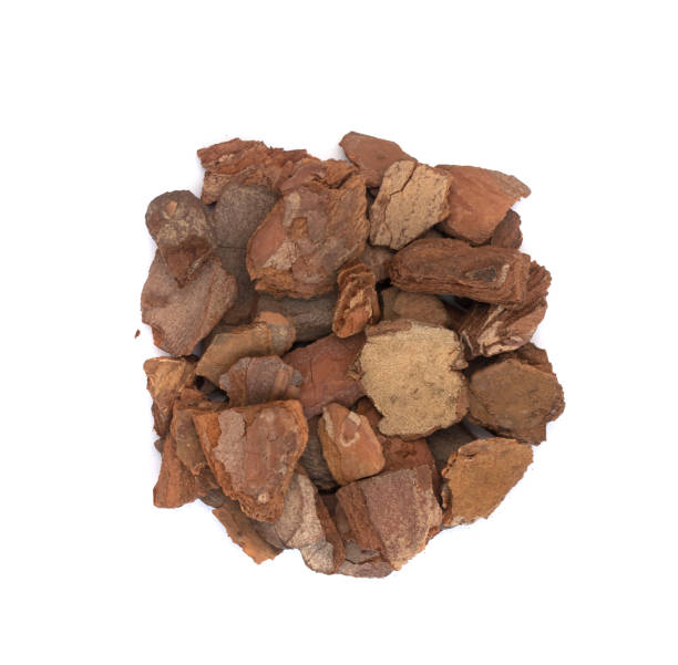 istock Heap Of Pine Tree Bark Chip Isolated 1079247044