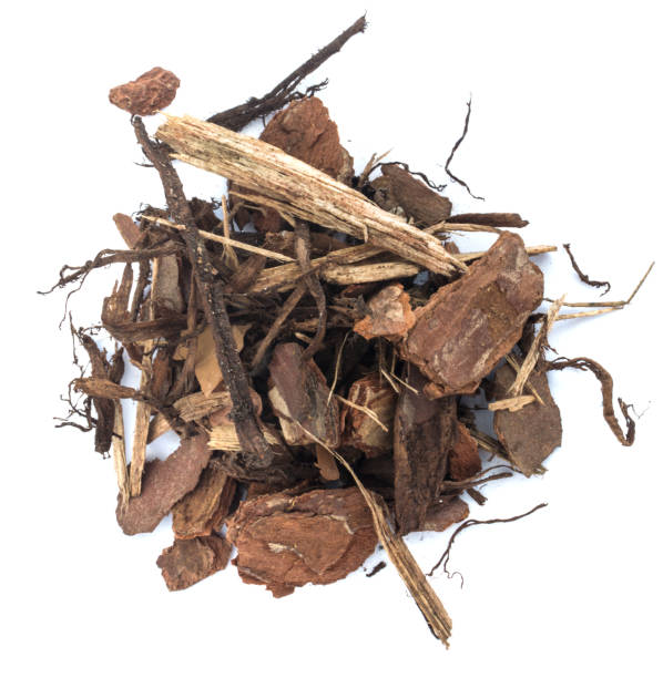 istock Heap Of Pine Tree Bark Chip Isolated 1079247054