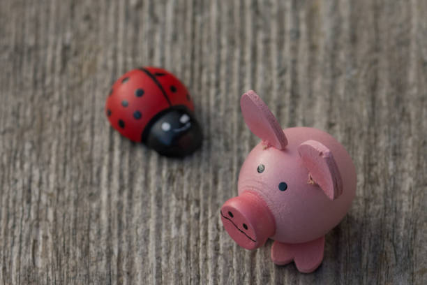 istock new year's gift - symbolic ladybug and pig 1079249788