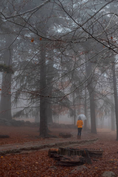 istock girl in path walking in autumn day 1079250856