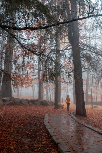 istock Girl in path walking in autumn day 1079250872