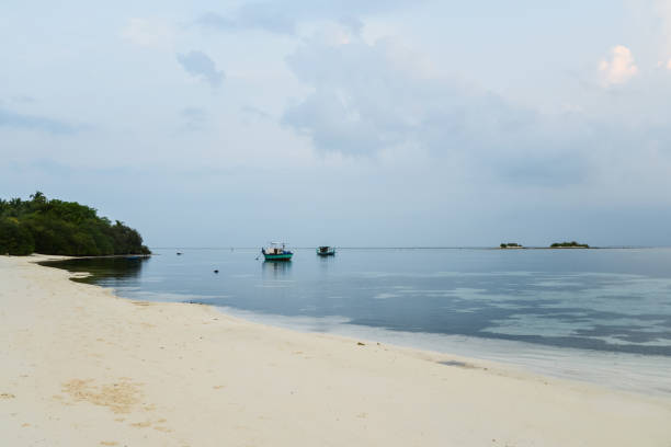 istock Beautiful beach with trees and cloudy sky on Maldives. 1079263550